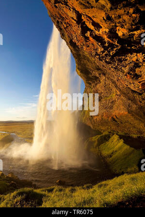 Wasserfall Seljalandsfoss, Fluss Seljalandsa, in der Abendsonne, Island, South Island, Seljalndsfoss Stockfoto