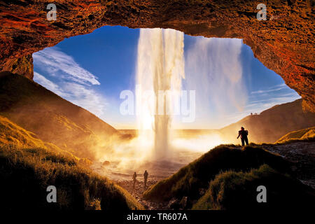 Wasserfall Seljalandsfoss, Hintergrundbeleuchtung, Fluss Seljalandsa, in der Abendsonne, Island, South Island, Seljalndsfoss Stockfoto