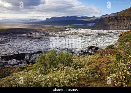 Gletscher im Nationalpark Vatnajoekull Svinafellsjoekull, Hornarfjoerdur, Island, Osten Island, Nationalpark Vatnajoekull Svinafellsjoekull Stockfoto