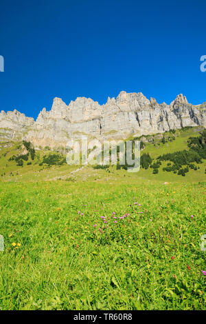 Blick vom hohen Tal Urnerboden zu Laeckistock, Rot Nossen, Signalstock, Jegerstoeck, Schijen und Ortstock Berge, Schweiz, Uri Stockfoto