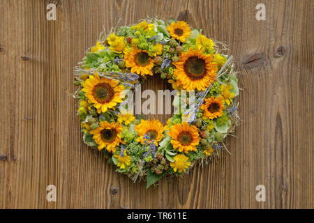 Gemeinsame Sonnenblume (Helianthus annuus), Flower Garland mit Sonnenblumen und Lavendel Stockfoto