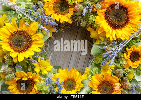 Gemeinsame Sonnenblume (Helianthus annuus), Flower Garland mit Sonnenblumen und Lavendel Stockfoto