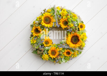 Gemeinsame Sonnenblume (Helianthus annuus), Flower Garland mit Sonnenblumen und Lavendel Stockfoto