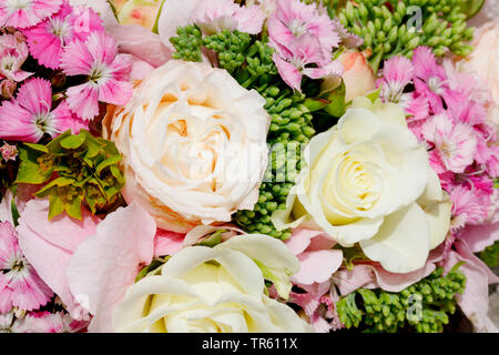 Blumen Gürtel mit Rosen und Nelken Stockfoto