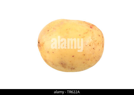 Kartoffel (Solanum tuberosum Quarta), Kartoffel der Sorte Quarta, Ausschnitt Stockfoto