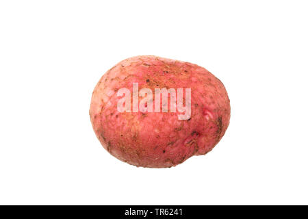 Kartoffel (Solanum tuberosum Desiree), Kartoffel der Sorte Desiree, Ausschnitt Stockfoto