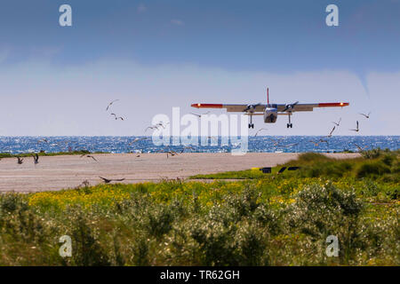 Flugzeug Landung auf der Insel in der Nähe der Insel Helgoland Duene, Risc von Vogelschlag, Deutschland, Schleswig-Holstein, Helgoland Stockfoto