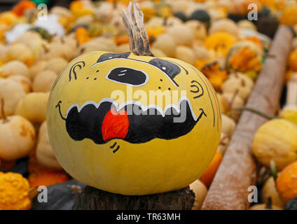 Knochenmark, Feld Kürbis (Cucurbita pepo), bemalte Fläche auf einem Kürbis Stockfoto