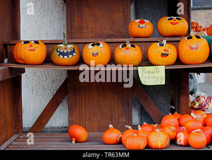 Knochenmark, Feld Kürbis (Cucurbita pepo), bemalten Gesichtern auf Kürbisse Stockfoto