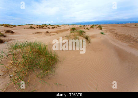 Dünen von Punta del Fangar, Ebro Delta, Deltebre, Costa Daurada, Spanien, Katalonia Stockfoto