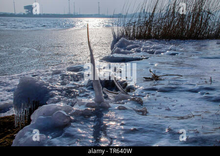 Reed und Eis in der Bucht von Wismar, Breitling, Deutschland, Mecklenburg-Vorpommern, Rostock Stockfoto