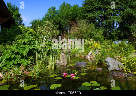 Garten Teich mit Seerosen, Deutschland, Nordrhein-Westfalen Stockfoto