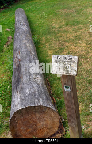 Douglasie, Oregon Pine (Pseudotsuga menziesii), verrottender Baumstamm auf einem pädagogischen Waldlehrpfad, Deutschland, Nordrhein-Westfalen Stockfoto