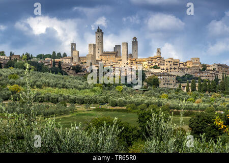 San Gimignano, Italien, Toskana, San Gimignano Stockfoto