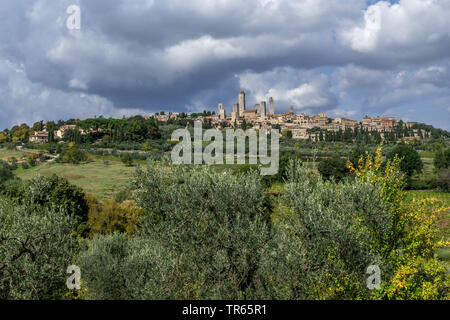 San Gimignano, Italien, Toskana, San Gimignano Stockfoto