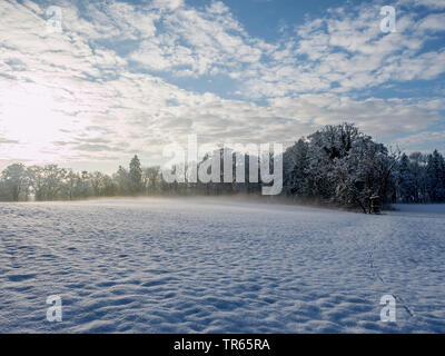 Verschneite Winterlandschaft im Morgenlicht, Deutschland, Bayern, Oberbayern, Oberbayern Stockfoto