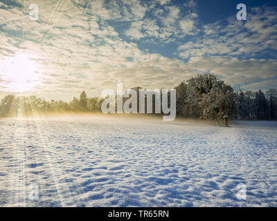 Verschneite Winterlandschaft im Morgenlicht, Deutschland, Bayern, Oberbayern, Oberbayern Stockfoto