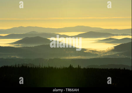 Blick vom Lusen zu Berge und Täler im Morgennebel bei Sonnenaufgang, Deutschland, Bayern, Nationalpark Bayerischer Wald Stockfoto