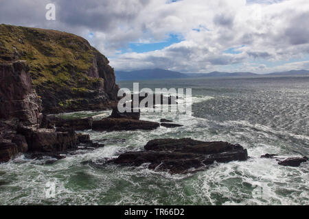 An der felsigen Küste der Halbinsel Dingle, Ring of Kerry, Irland, County Kerry, Dingle Halbinsel Dingle Stockfoto