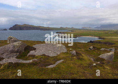 Landschaft der Halbinsel Dingle, Irland, County Kerry, Dingle Halbinsel Stockfoto