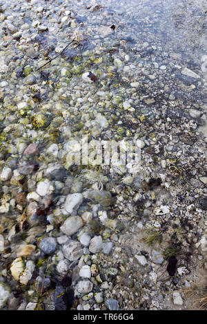 Kies von Isar, Deutschland, Bayern Stockfoto