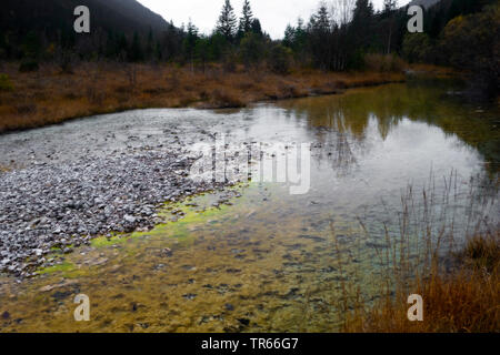 Am Flussufer der Isar, Deutschland, Bayern Stockfoto