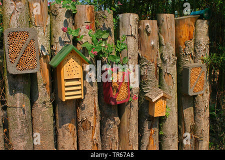 Insektenhotels an einem Holzzaun, Deutschland Stockfoto