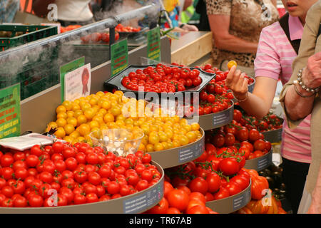 Garten Tomaten (Solanum Lycopersicum, Lycopersicon esculentum), Tomaten auf einem Markt, Deutschland Stockfoto