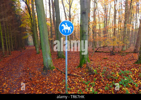 Reiten Zeichen in einem Wald, Deutschland Stockfoto