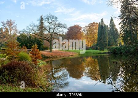 Garten im Herbst Pruhonice Prag, Tschechien Stockfoto