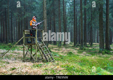 Hunter auf Ansitz, Jagd, Deutschland, Niedersachsen Stockfoto