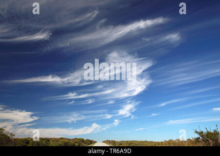 Zirruswolken, Südafrika, Western Cape, West Coast National Park Stockfoto