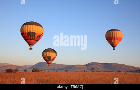 Heißluftballons über den Pilanesberg Nationalpark, Südafrika, North West Provinz, Pilanesberg National Park Stockfoto