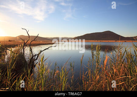 Mankwe Dam, Südafrika, North West Provinz, Pilanesberg National Park Stockfoto