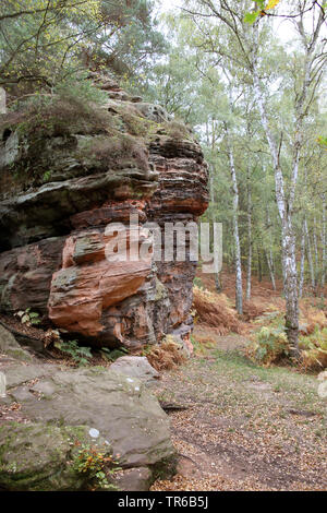 Felsformation Katzensteine, Deutschland, Nordrhein-Westfalen, Satzvey, Mechernich Stockfoto