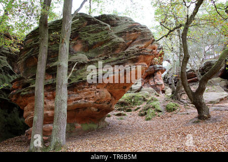 Felsformation Katzensteine, Deutschland, Nordrhein-Westfalen, Satzvey, Mechernich Stockfoto