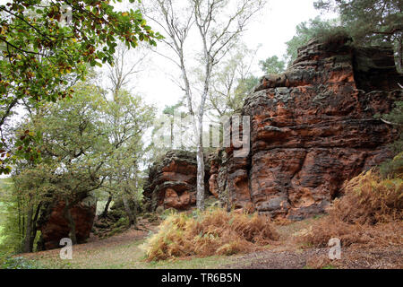 Felsformation Katzensteine, Deutschland, Nordrhein-Westfalen, Satzvey, Mechernich Stockfoto