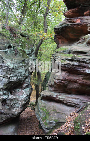 Natürliche Sehenswürdigkeiten Katzensteine, Deutschland, Nordrhein-Westfalen, Katzvey, Mechernich Stockfoto
