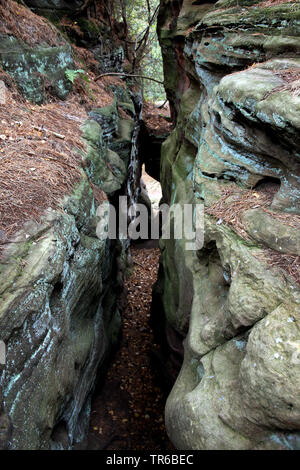 Natürliche Sehenswürdigkeiten Katzensteine, Deutschland, Nordrhein-Westfalen, Katzvey, Mechernich Stockfoto