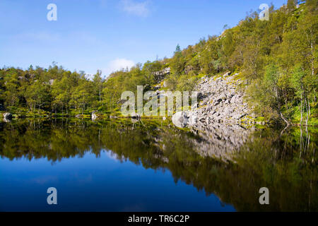 Felsen und den See auf dem Weg zum Preikestolen, Norwegen, Rogaland, Ryfylke Stockfoto