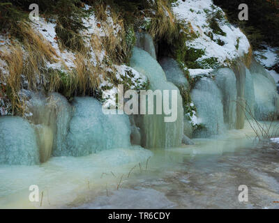 Eisformationen bei Frozen Creek, Schwarzwassertal, Deutschland, Sachsen, Erzgebirge Stockfoto