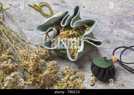 Schafgarbe, gemeinsame Schafgarbe (Achillea millefolium), selbstgemacht Medizin Beutel, Deutschland Stockfoto