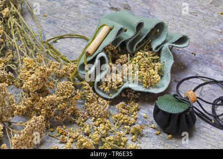 Schafgarbe, gemeinsame Schafgarbe (Achillea millefolium), selbstgemacht Medizin Beutel, Deutschland Stockfoto