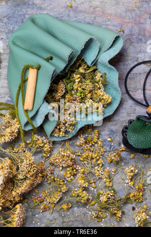 Schafgarbe, gemeinsame Schafgarbe (Achillea millefolium), selbstgemacht Medizin Beutel, Deutschland Stockfoto