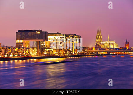 Riverbank Kranhaeuser auf dem Rhein und den Kölner Dom in den Abend, Deutschland, Nordrhein-Westfalen, Rheinland, Köln Stockfoto