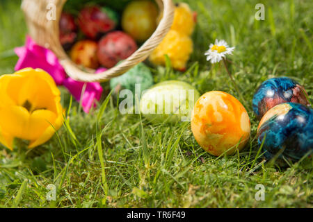 Umgeworfen Ostern Korb und Ostereier in einer Wiese, Deutschland Stockfoto