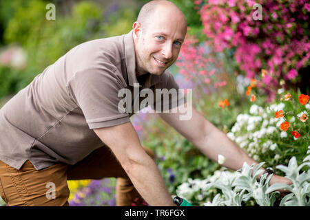 Mann in einem Blumenbeet im Garten blühen, Deutschland Stockfoto