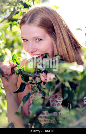 Apfelbaum (Malus Domestica), junge Frau in einen Apfel beissen an einem Apfelbaum, Brustbild, Deutschland Stockfoto