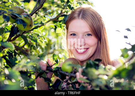 Apfelbaum (Malus Domestica), lächelnden jungen Frau an einem Apfelbaum, Porträt, Deutschland Stockfoto