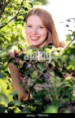 Apfelbaum (Malus Domestica), lächelnden jungen Frau an einem Apfelbaum, Brustbild, Deutschland Stockfoto